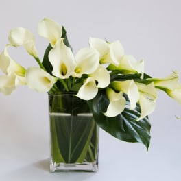 White calla lilies in a clear glass vase
