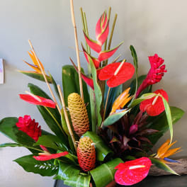 Tropical arrangement with red anthuriums and orange bird-of-paradise flowers in a low container