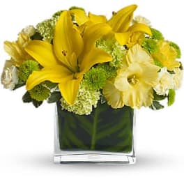 Low arrangement of yellow lilies and mixed yellow and green flowers in a clear glass cube vase
