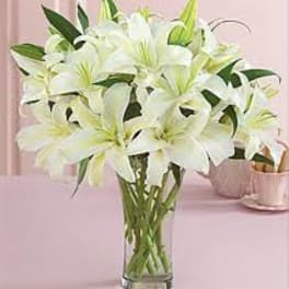 White lilies in a clear glass vase