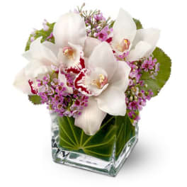 White orchids and purple filler flowers in a square glass vase