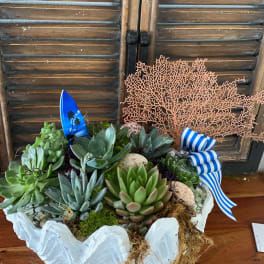 Succulent arrangement in a white shell-shaped container with blue ribbon accents