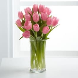 Pink tulips arranged in a clear glass vase
