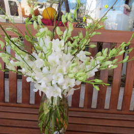 White orchid arrangement in a clear glass vase