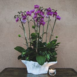 Purple orchids in a white ceramic vase with a small candle beside it