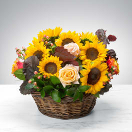 Low basket arrangement of bright yellow sunflowers and soft roses with berries in a woven basket