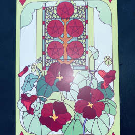 Illustrated packet labeled "Sow the Magic" with black velvet nasturtium flowers