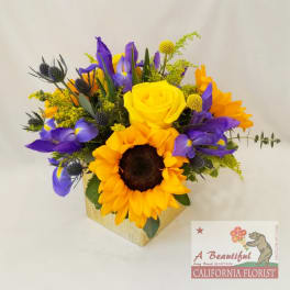 California Gold - from A Beautiful California Florist