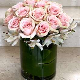 24 Roses in Pink Compact arranged in a vase