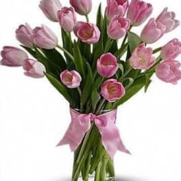 Tall vase of pink tulips with long stems, tied with a pink ribbon bow