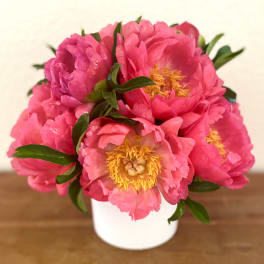 Bright pink peony bouquet in a white vase