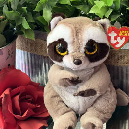 Plush raccoon with a red rose and potted greenery
