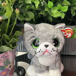 Potted greenery with pink buds beside a gray plush cat