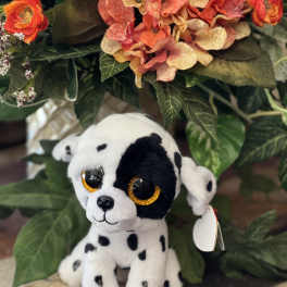 Plush Dalmatian puppy in front of an orange and peach floral arrangement