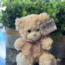 Plush teddy bear with a pink polka-dot bow sitting in front of greenery