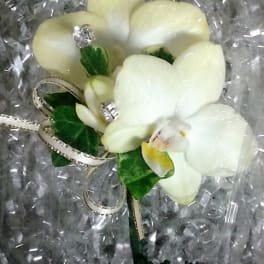 White orchid corsage with silver ribbon on clear wrap