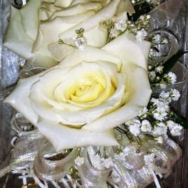 White roses with baby's breath and silver ribbon in a gift box