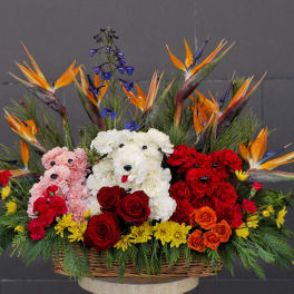 Basket arrangement with teddy bear-shaped flowers, roses, and bird-of-paradise blooms