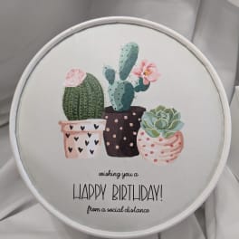 Round birthday sign with potted cacti and succulents