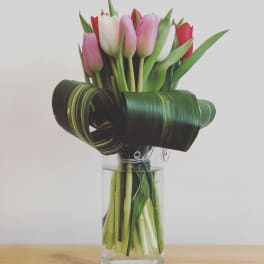 Tulip bouquet in a clear glass vase with curled dark green leaves