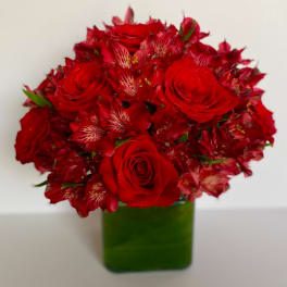 Red roses and red alstroemeria in a green square vase
