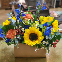 Bright sunflower arrangement in a cardboard box with blue and orange flowers
