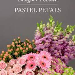Pastel flower arrangement with pink daisies, roses, and purple blooms