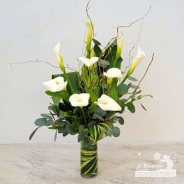 White calla lilies arranged in a tall glass vase with greenery
