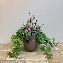 Potted ivy arrangement with pussy willow stems and a pink butterfly decoration