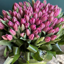 Bouquet of pink tulips with broad green leaves