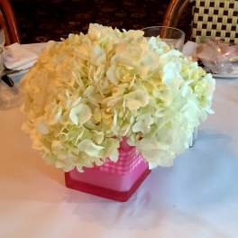 White hydrangea arrangement in a pink gingham container