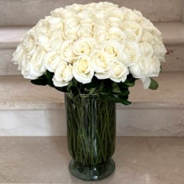 100 Roses White Premium arranged in a vase
