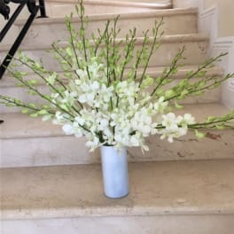 Tall arrangement of white orchids with green buds in a slim white cylinder vase on stone steps