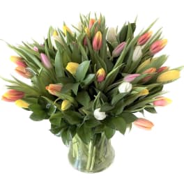 Large bouquet of mixed pastel tulips arranged in a clear glass vase