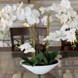 White orchid arrangement in a white bowl planter