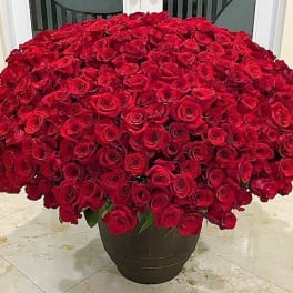 Large dome of red roses arranged densely in a dark brown pot