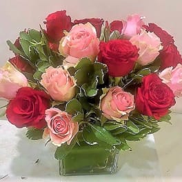 Short arrangement of red and pink roses in a clear glass cube vase