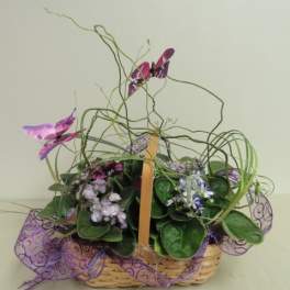 Basket arrangement with purple flowers and curly green stems