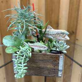 Succulent arrangement in a wooden box with decorative fish figures