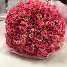 Large bouquet of pink roses wrapped in pale pink paper