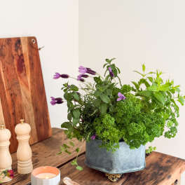 Potted herb arrangement with purple flowers in a metal container