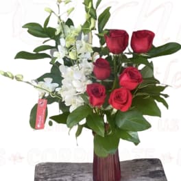 Red roses and white orchids in a tall burgundy vase