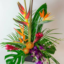 Tropical floral arrangement with bird of paradise and purple orchids in a black container