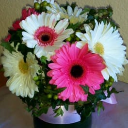 Bouquet of pink and white gerbera daisies in a black vase