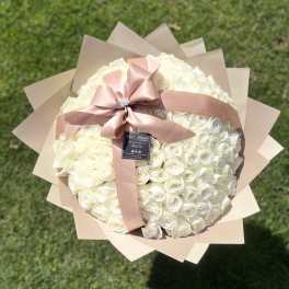 Large bouquet of white roses wrapped in beige paper with a pink ribbon