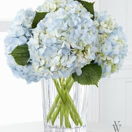 The FTD® Joyful Inspirations™ Bouquet by Vera Wang