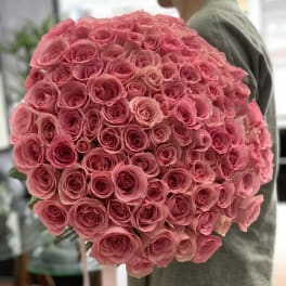 Large bouquet of pink roses held by a person