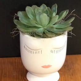Succulent in a white face-shaped planter
