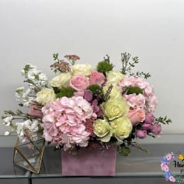 Pink and cream rose arrangement with hydrangeas in a pink box