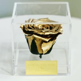 Gold rose in a clear display box